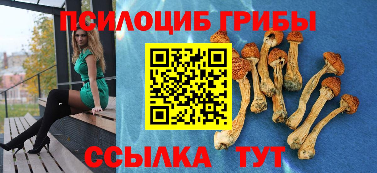 Псилоцибиновые грибы Cubensis Мытищи